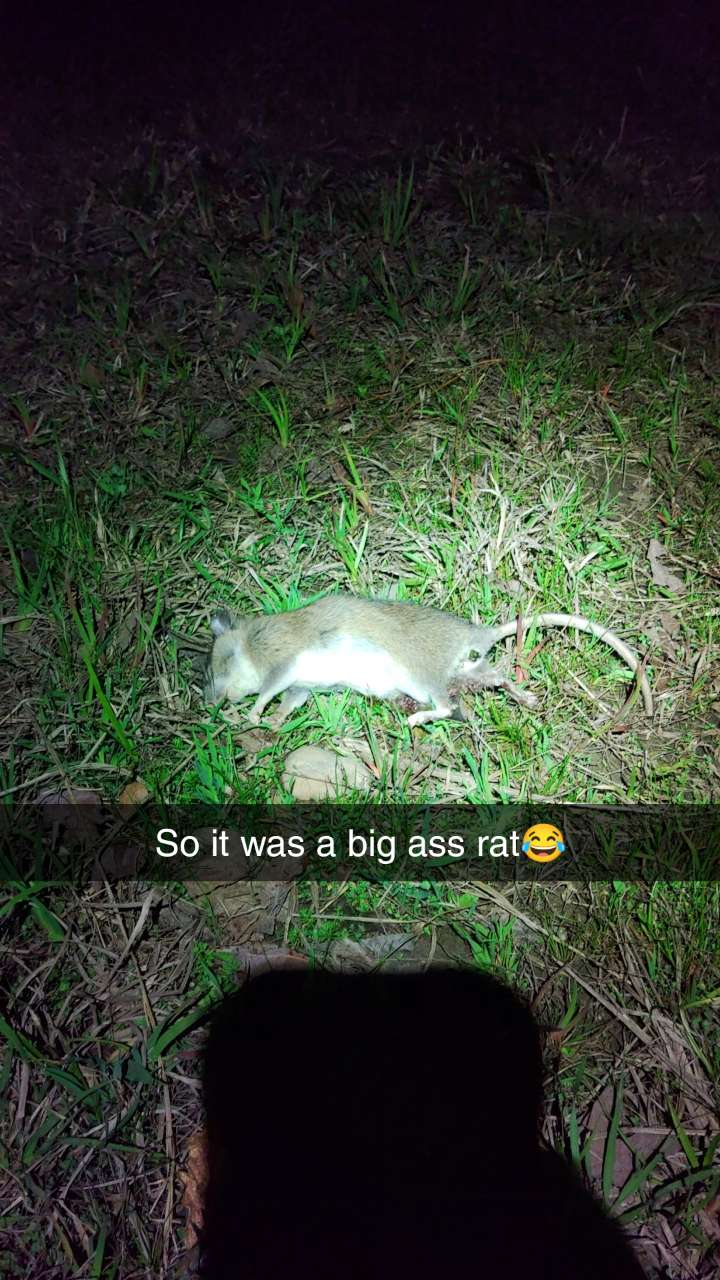 Snapchat-741145483.jpg