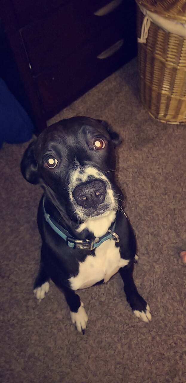 Snapchat-813678078_1549044678934.jpg
