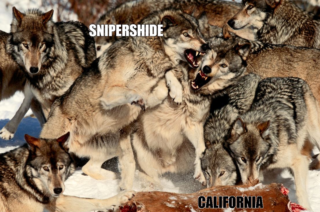 SNIPERSHIDE CALIFORNIA.JPG