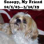 Snoopy.jpg