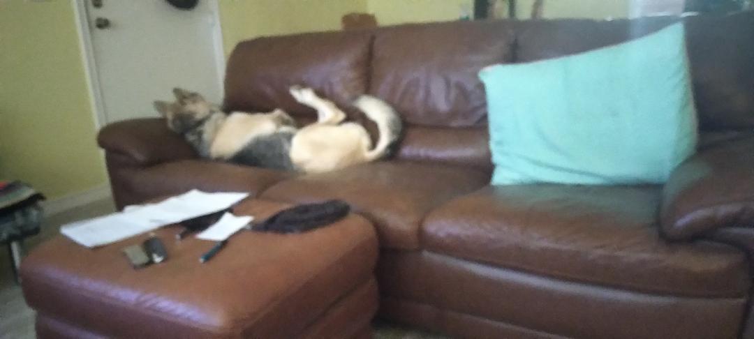 snooze.jpg