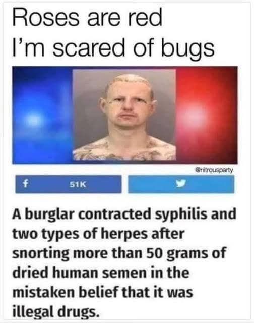 SNORT.jpg