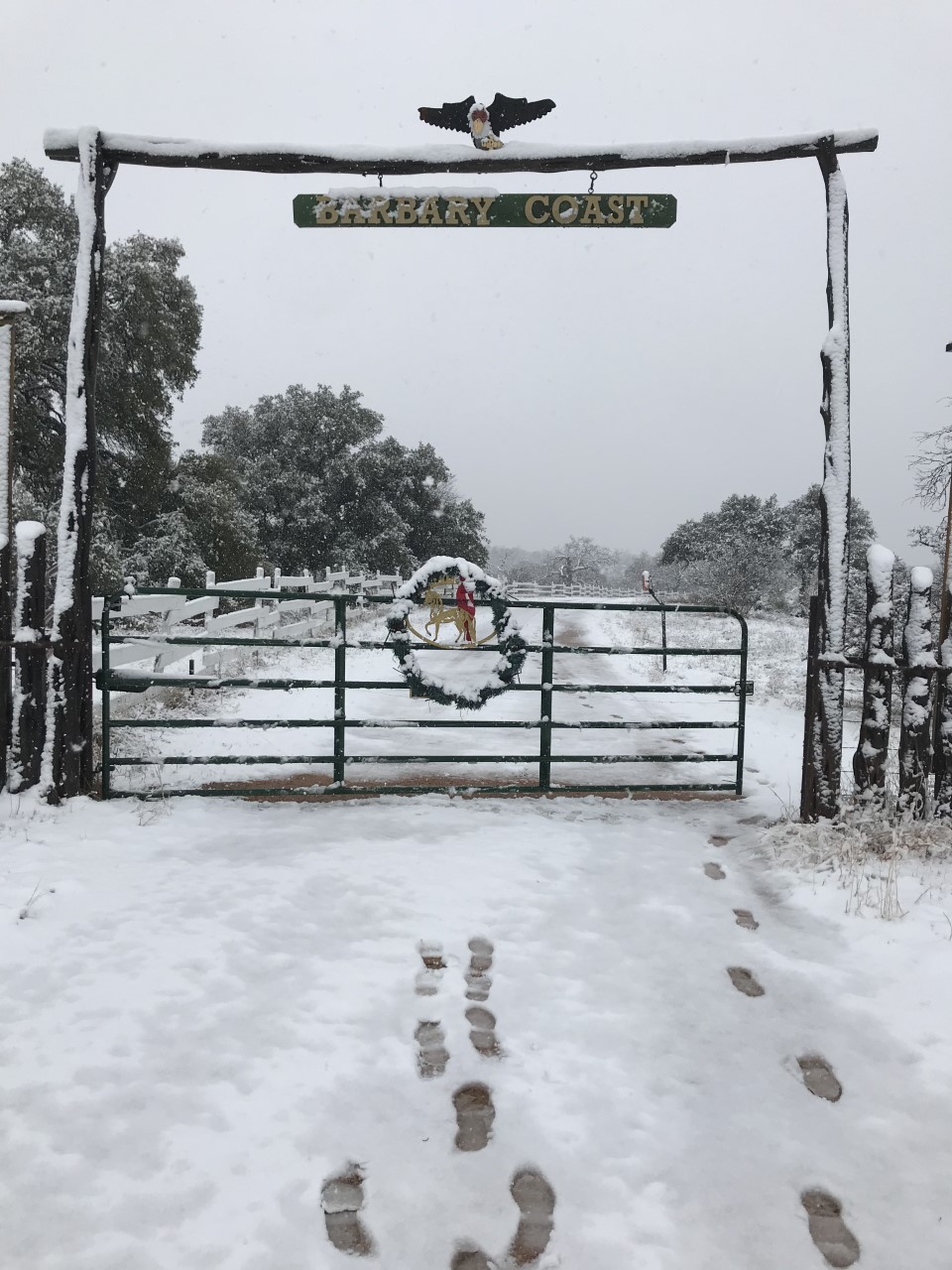 snow gate.jpg