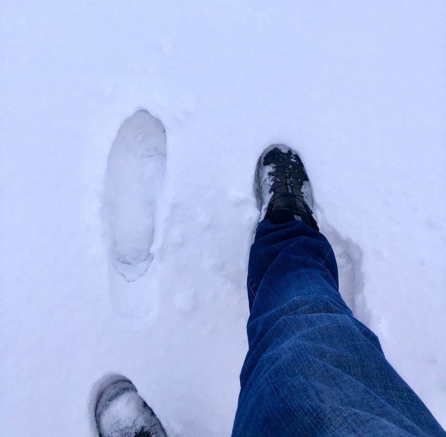 Snow.jpg