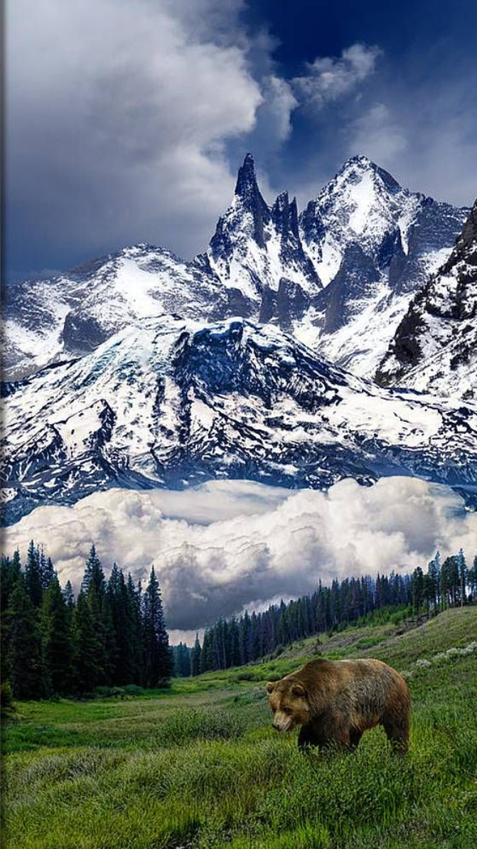 snow mtn.png