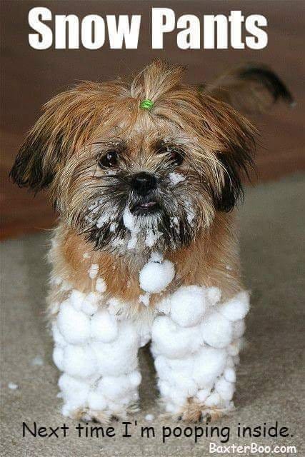 snow pants.jpg