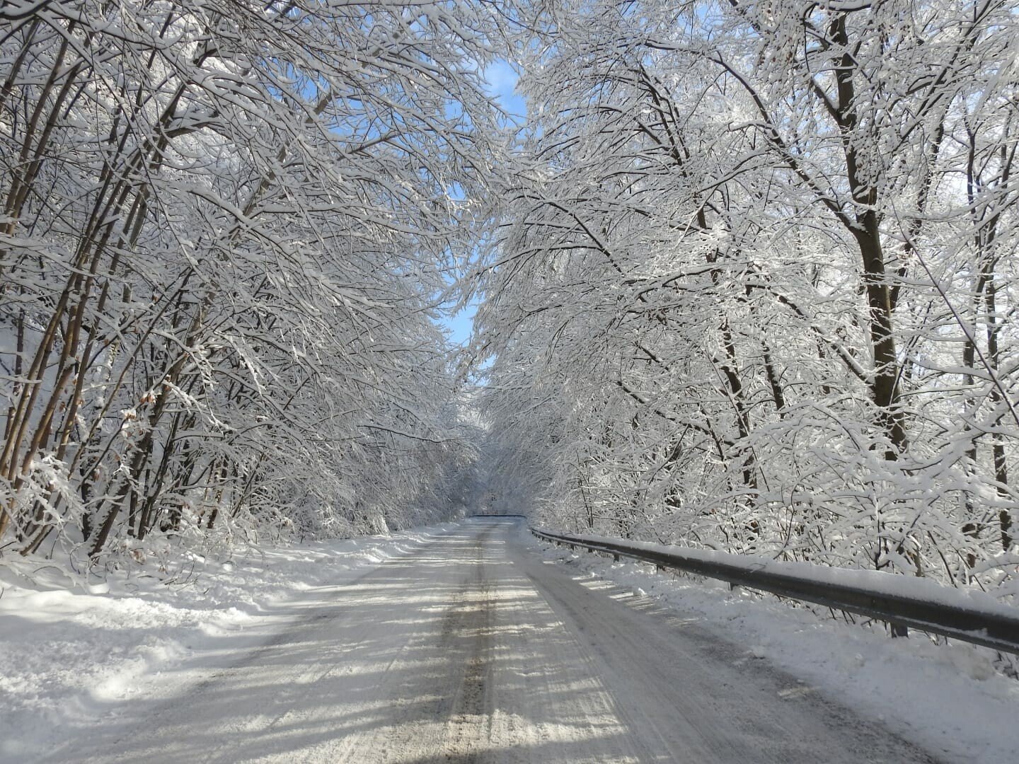snow road.jpg