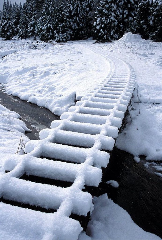 snow tracks.jpeg