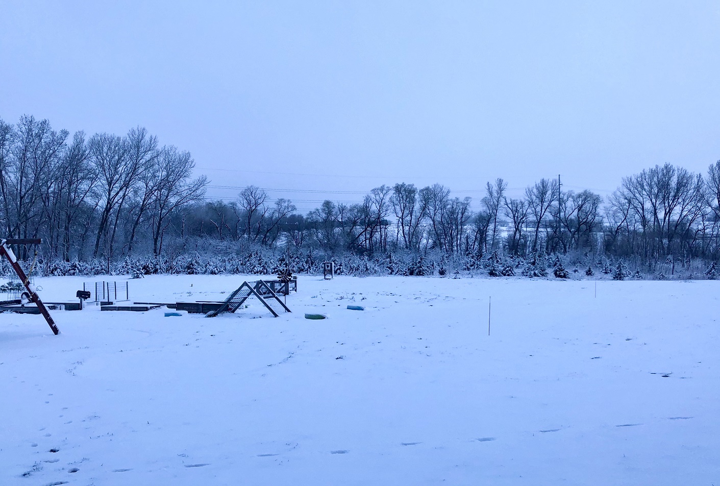 Snow3.jpg
