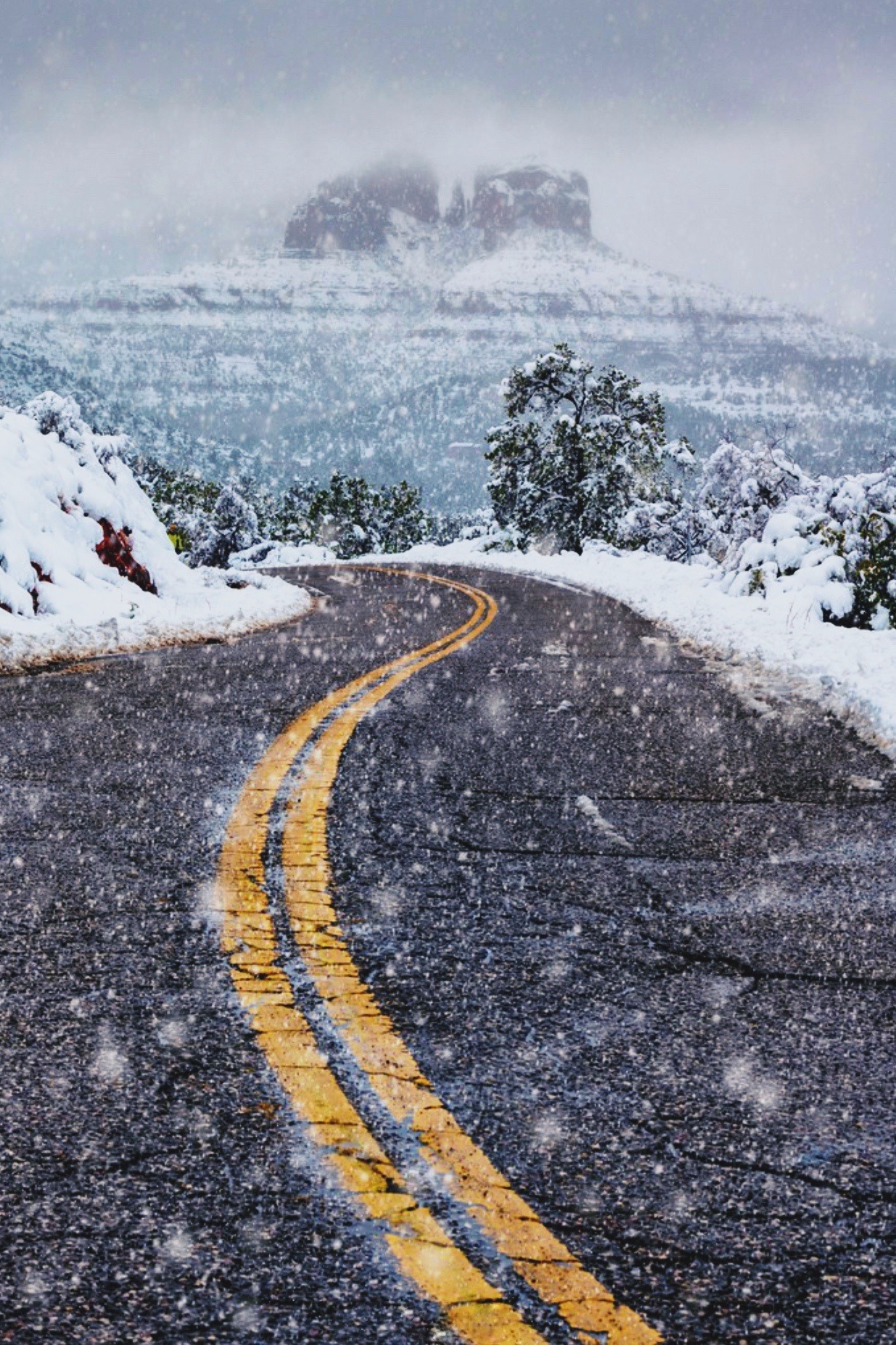 snowy road.jpeg