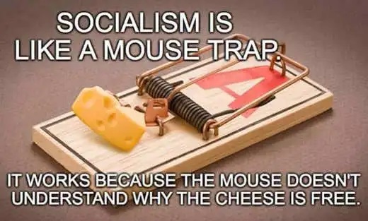 socialism-like-mouse-trap-works-because-mouse-doesnt-understand-why-cheese-is-free.jpg