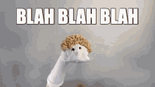 Sock puppet.gif