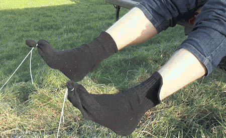socks.gif