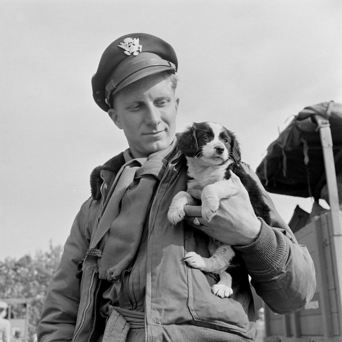 soldier puppy.jpeg