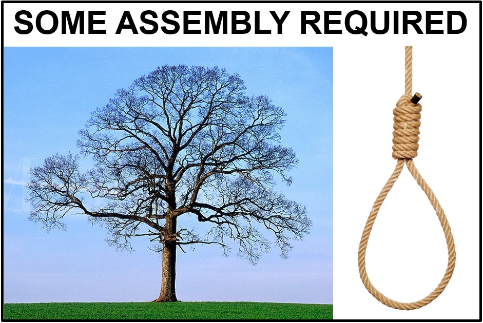 Some Assembly Required.jpg