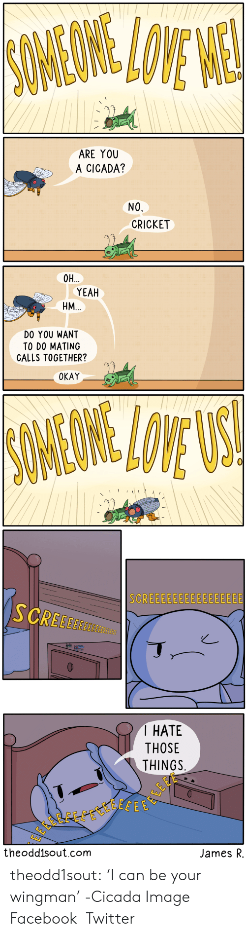 some-we-lowe-e-are-you-a-cicada-no-cricket-64841483.png