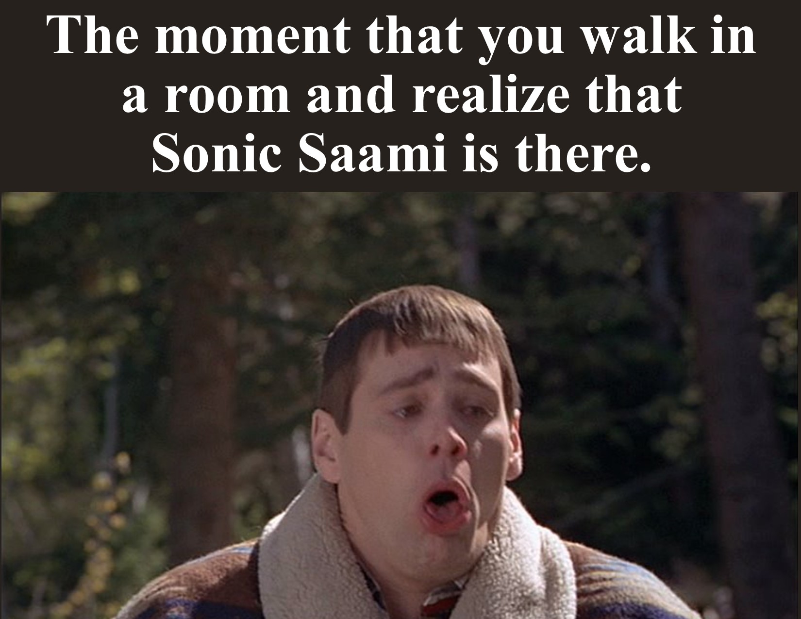 Sonic Saami Fart.jpg
