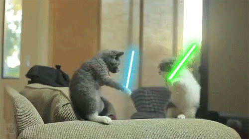 source.gif