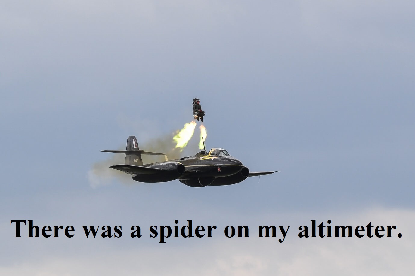 Spider in the Cockpit.jpg