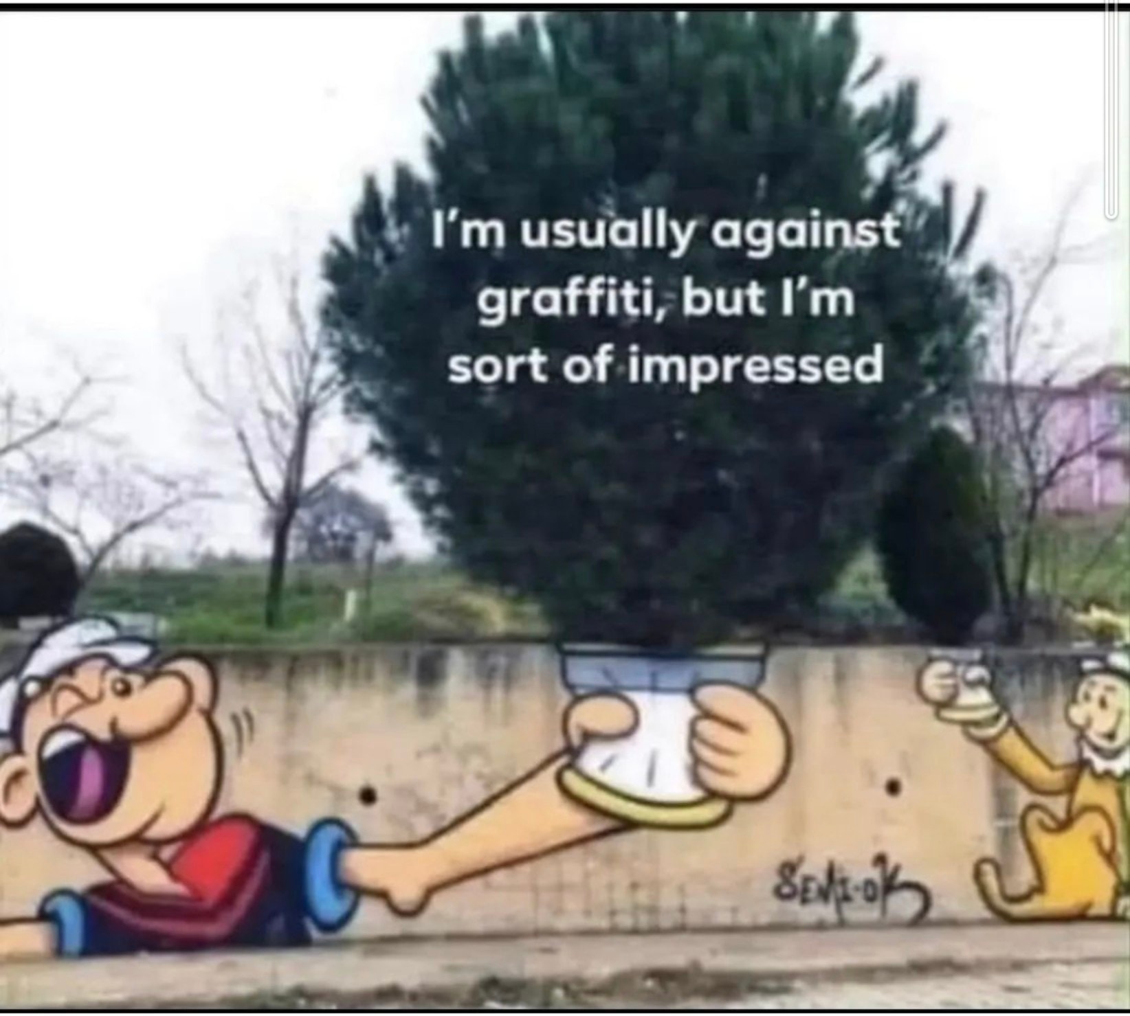 spinach.jgp.jpeg