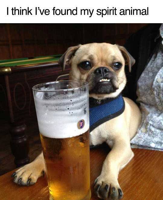 spirit animal.jpeg