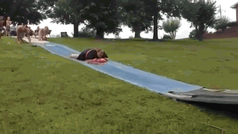 splash.gif