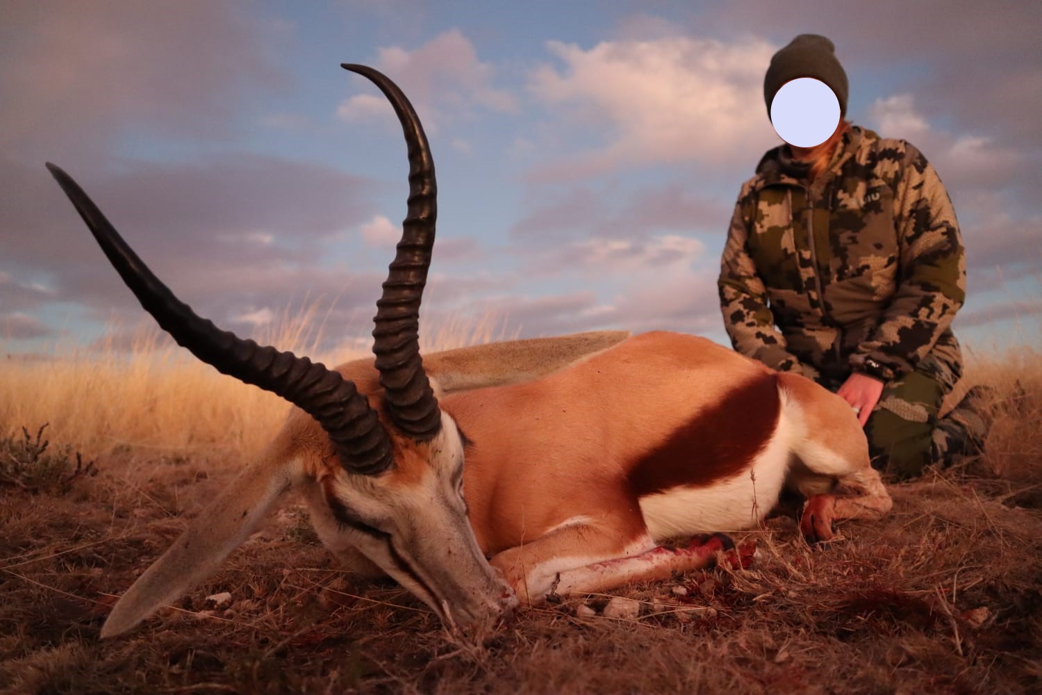 SPRINGBUCK.JPG