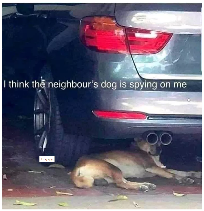 spy.png