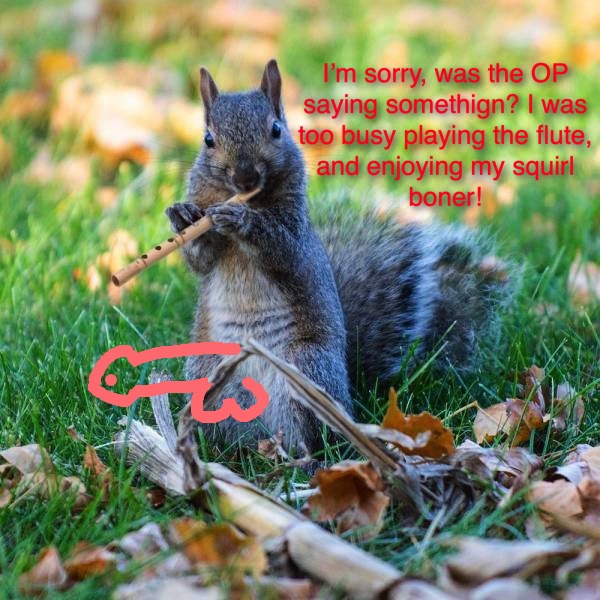 squirl boner.jpg