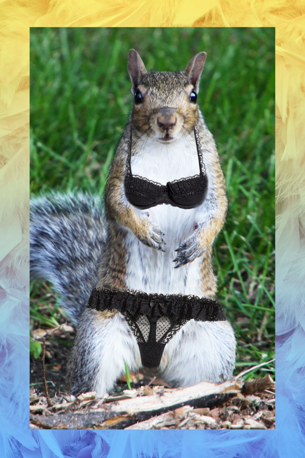 Squirrel.jpg