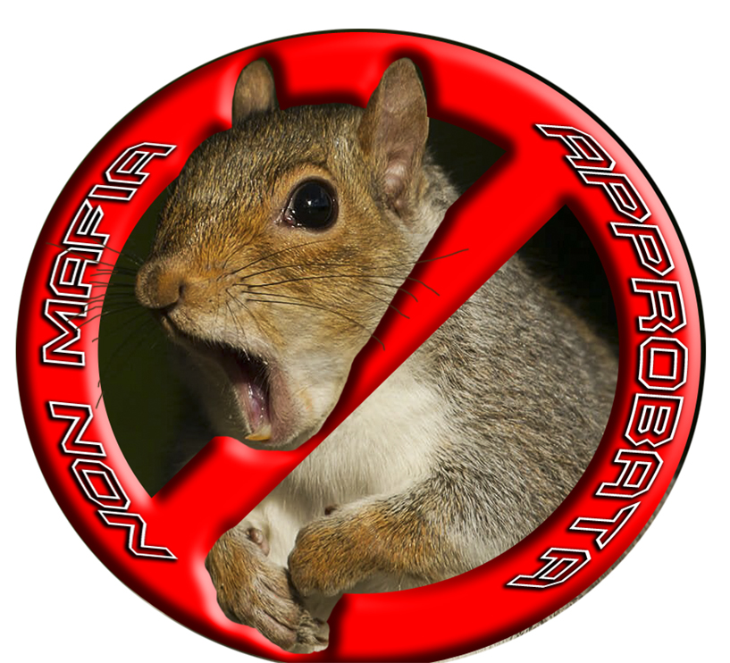 Squirrel Mafia PX logo.jpg