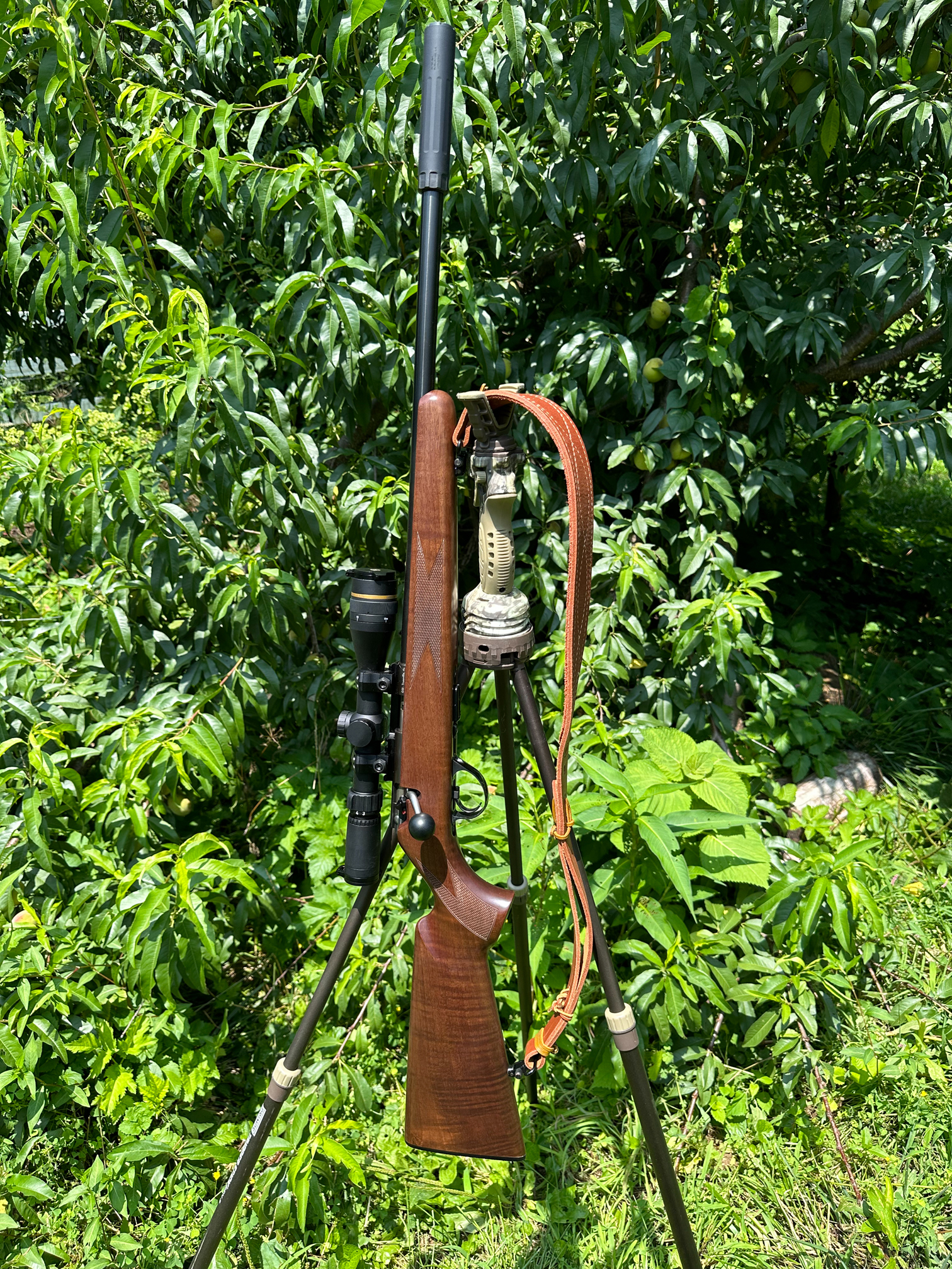 Squirrel50.jpg