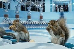 Squirrels 3.jpg