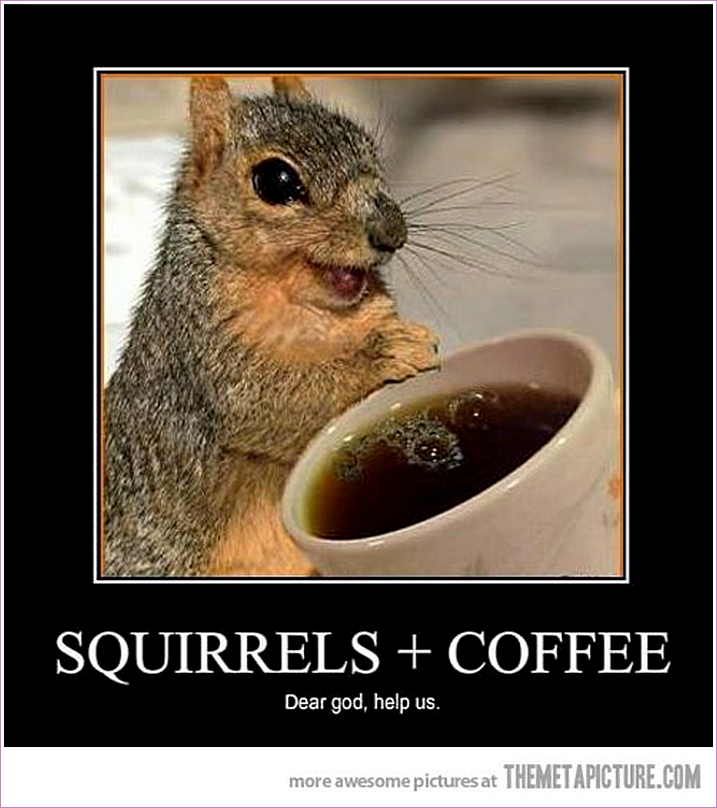 Squirrels+Coffee.jpg