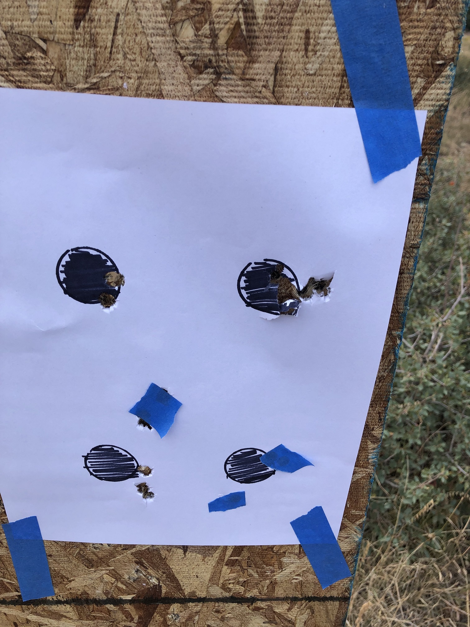 ssg3000 target devel.jpg