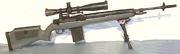 SSR_gray.jpg