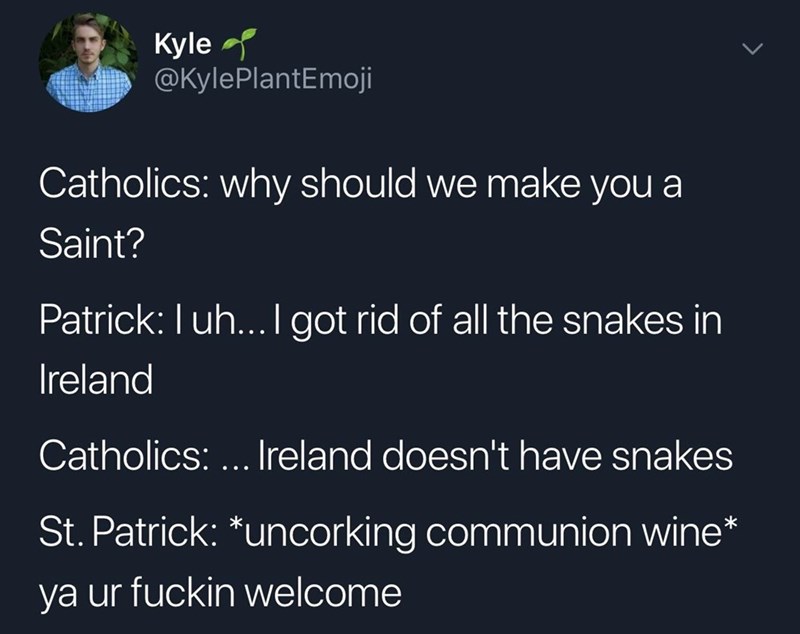 st pat snakes.jpeg