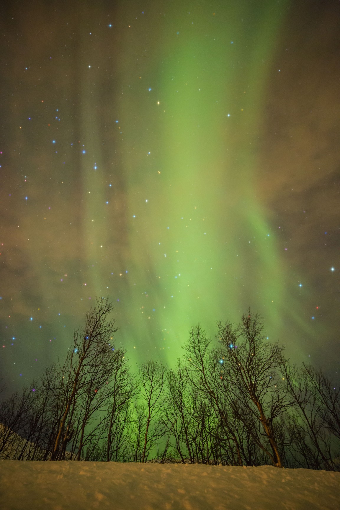 starry sky.jpeg