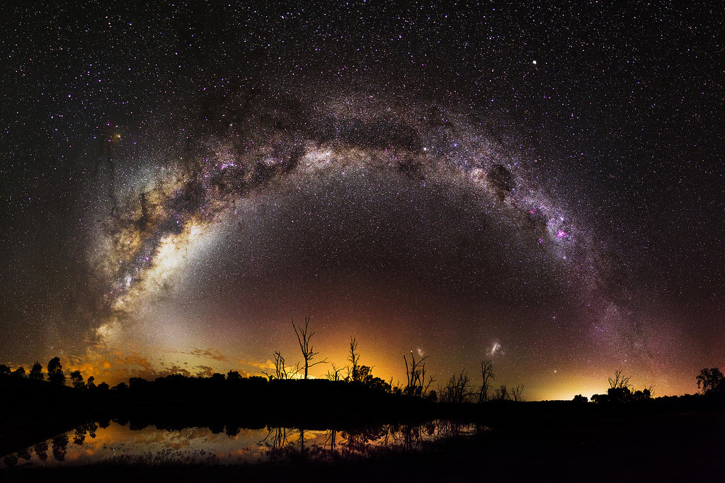 stars trees.jpg