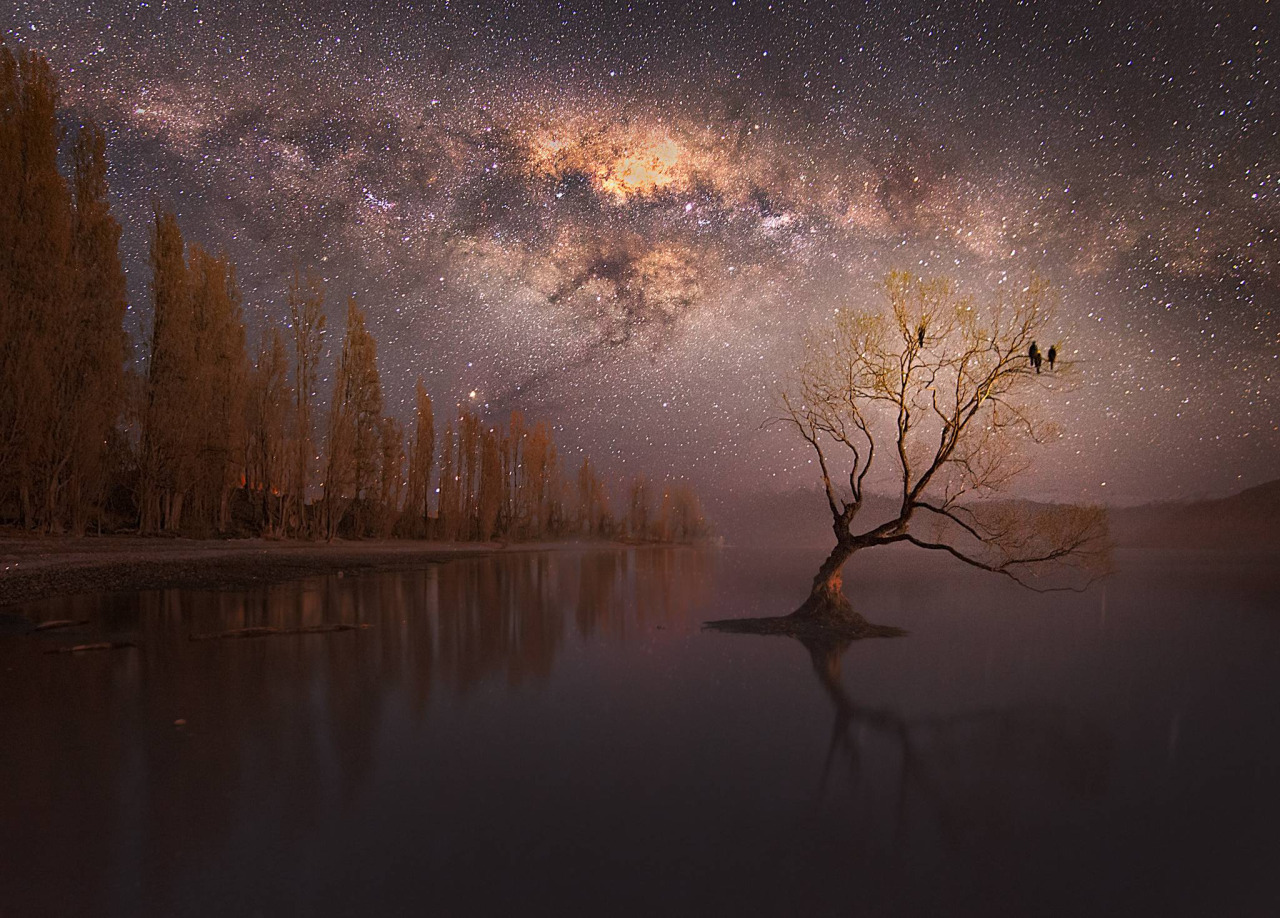stars2.jpeg