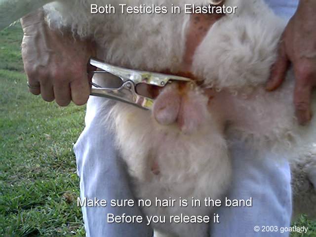 Step 9.jpg