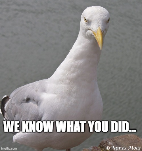 stern.jpg