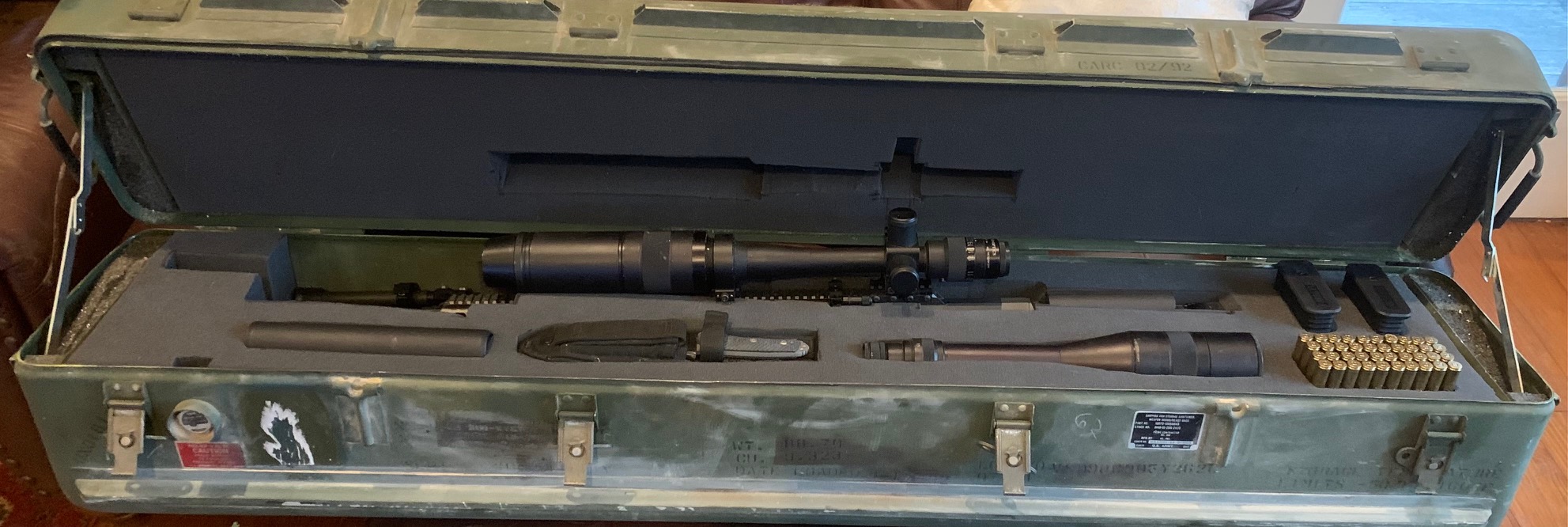 stinger 3.jpg