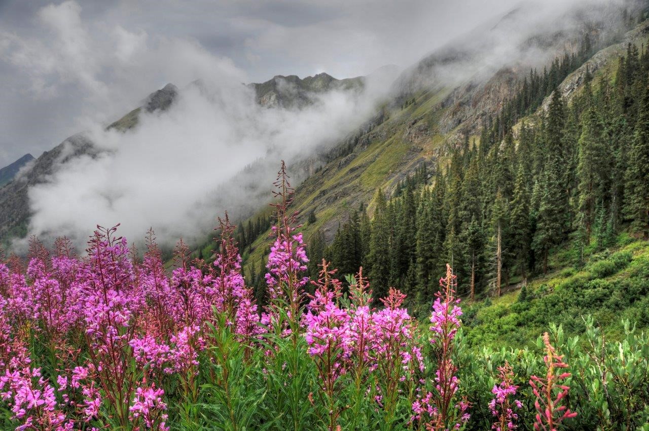 stoney pass.jpg