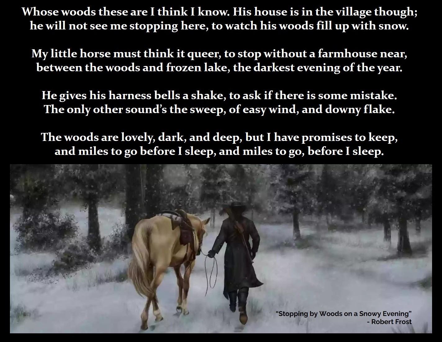 Stopping by the woods.jpg