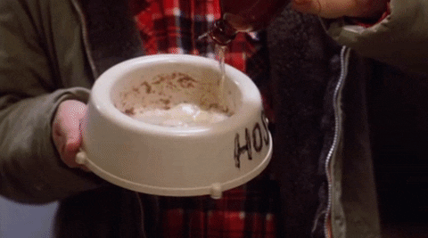 strange brew.gif