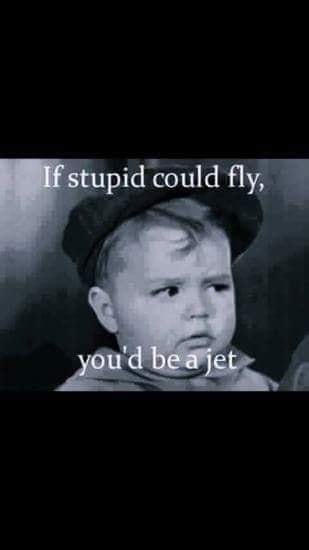 stupid could fly.jpg