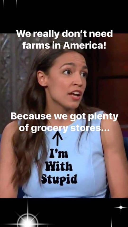 Stupid.jpg