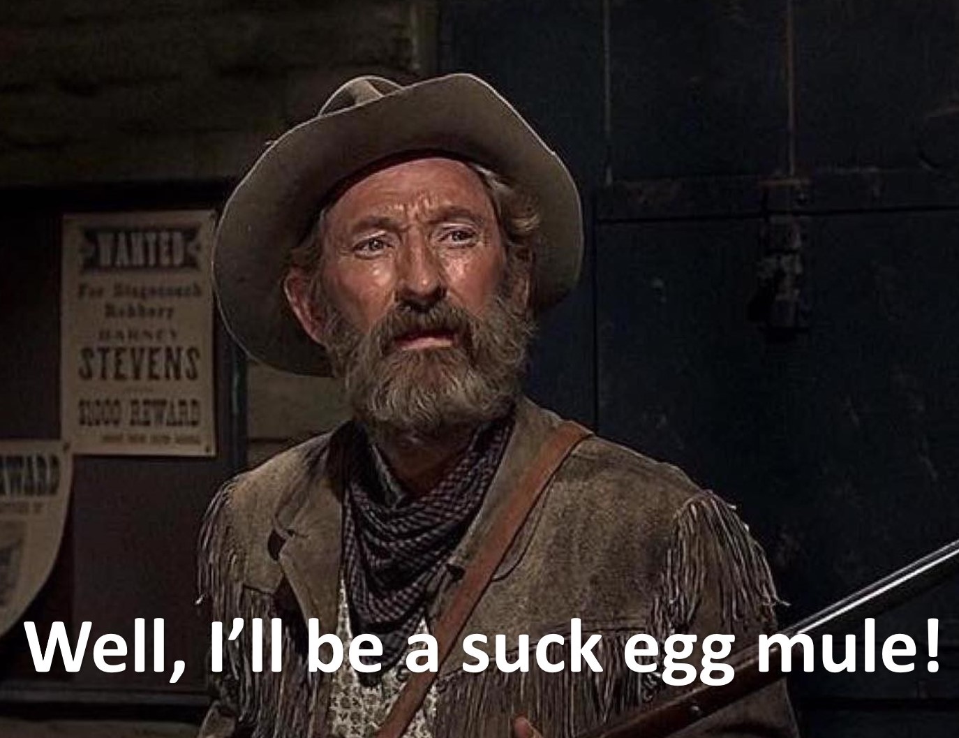 Suck egg mule.jpg