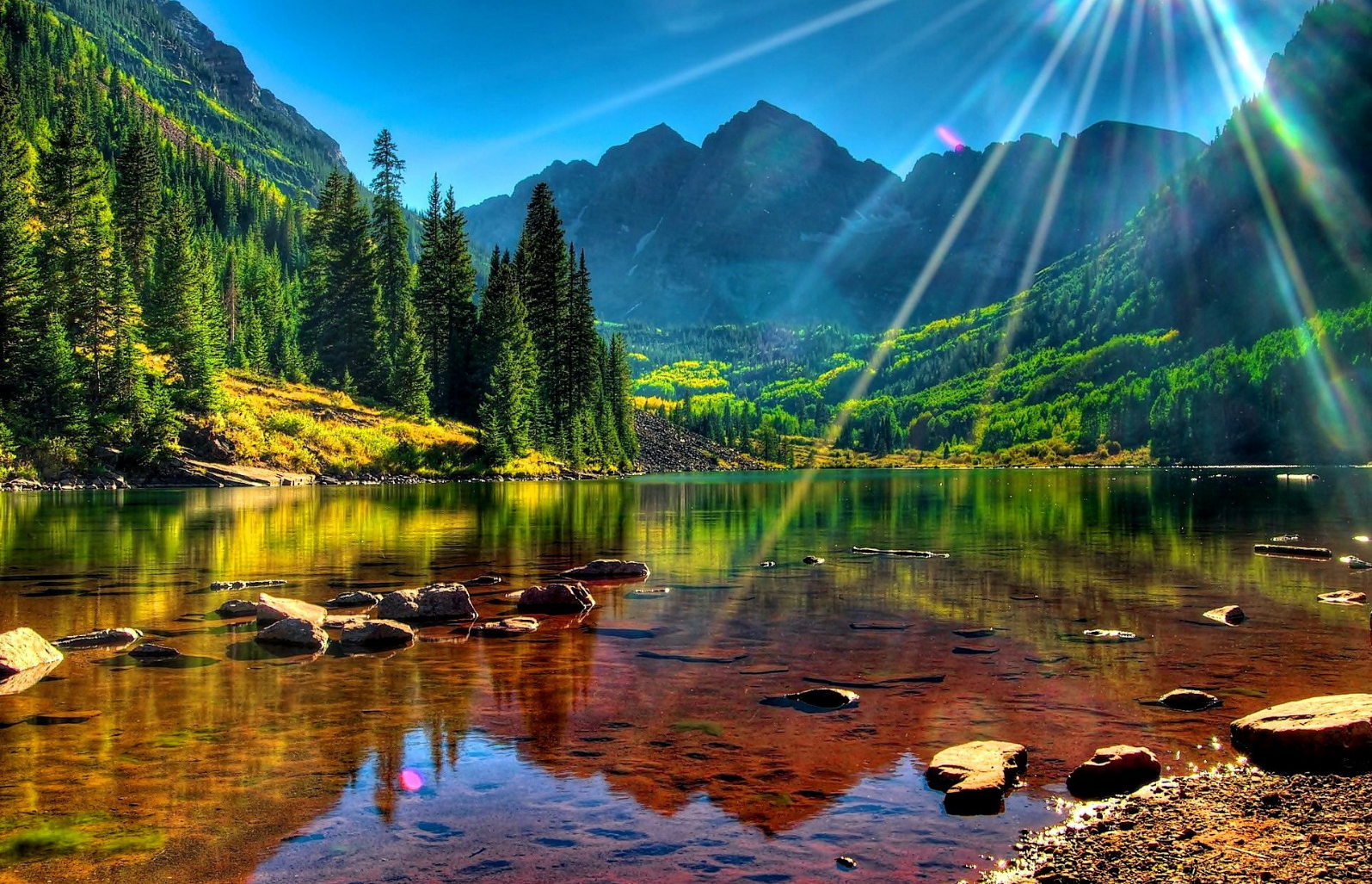 sun rays.png